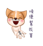 Chihuahua Didi（個別スタンプ：28）