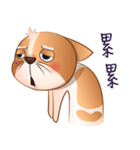 Chihuahua Didi（個別スタンプ：29）