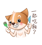 Chihuahua Didi（個別スタンプ：31）