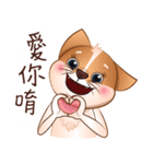 Chihuahua Didi（個別スタンプ：32）