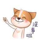 Chihuahua Didi（個別スタンプ：33）