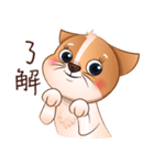 Chihuahua Didi（個別スタンプ：35）