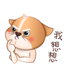 Chihuahua Didi（個別スタンプ：36）