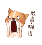 Chihuahua Didi（個別スタンプ：38）