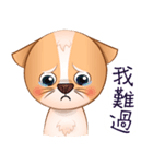 Chihuahua Didi（個別スタンプ：39）