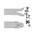 俺、アザラシだから。（個別スタンプ：12）