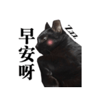 BOBO Family Daily（個別スタンプ：2）