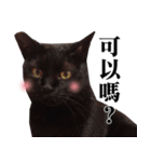 BOBO Family Daily（個別スタンプ：8）