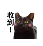 BOBO Family Daily（個別スタンプ：21）