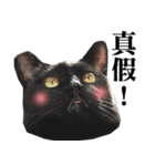BOBO Family Daily（個別スタンプ：26）