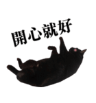 BOBO Family Daily（個別スタンプ：28）