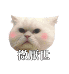BOBO Family Daily（個別スタンプ：39）