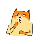 NaaDed-Orange cat (English)（個別スタンプ：4）
