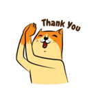 NaaDed-Orange cat (English)（個別スタンプ：5）