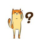 NaaDed-Orange cat (English)（個別スタンプ：11）