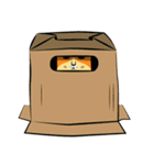 NaaDed-Orange cat (English)（個別スタンプ：17）