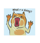 NaaDed-Orange cat (English)（個別スタンプ：18）