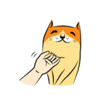 NaaDed-Orange cat (English)（個別スタンプ：22）