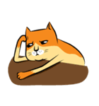 NaaDed-Orange cat (English)（個別スタンプ：25）