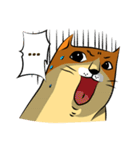 NaaDed-Orange cat (English)（個別スタンプ：29）