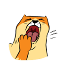 NaaDed-Orange cat (English)（個別スタンプ：33）