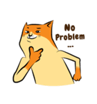 NaaDed-Orange cat (English)（個別スタンプ：38）