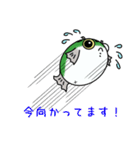 ふぐじろうとちっさいふぐ（個別スタンプ：29）