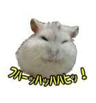 ハムスターのダイコク（個別スタンプ：4）