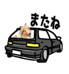 かわいいラフコリー（個別スタンプ：34）
