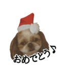 うちのげんさん（個別スタンプ：7）