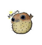 Puffer Fish Hao-Hao（個別スタンプ：8）