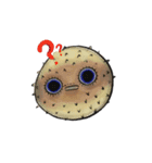 Puffer Fish Hao-Hao（個別スタンプ：13）