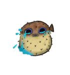 Puffer Fish Hao-Hao（個別スタンプ：16）