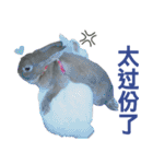 Rabbit and Cute Animals [Simplified ]（個別スタンプ：21）