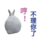 Rabbit and Cute Animals [Simplified ]（個別スタンプ：22）