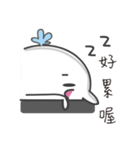 whale ＆ Koala（個別スタンプ：16）