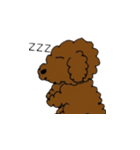 プードル？さん（個別スタンプ：16）