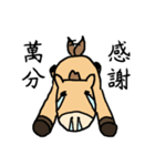 Good horse Faila（個別スタンプ：27）