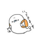 毎日使えるあざらしさん（個別スタンプ：25）