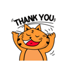 Meow Ne Jomsa（個別スタンプ：2）