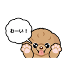 トイプードルのPOO（個別スタンプ：1）