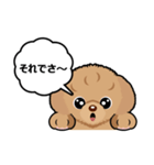トイプードルのPOO（個別スタンプ：4）