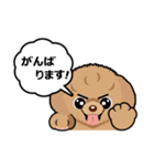 トイプードルのPOO（個別スタンプ：13）