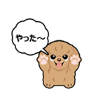 トイプードルのPOO（個別スタンプ：14）