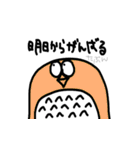 ダイナマイトフクロウ（個別スタンプ：12）