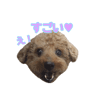 一平とまぁ坊（個別スタンプ：5）