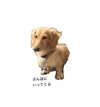 スーとマメと動物たち（個別スタンプ：2）