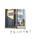 スーとマメと動物たち（個別スタンプ：14）