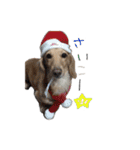 スーとマメと動物たち（個別スタンプ：20）
