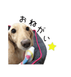 スーとマメと動物たち（個別スタンプ：33）